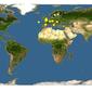 Discover Life: Point Map of Silaum silaus